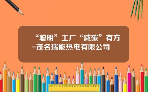 “聪明”工厂“减碳”有方-茂名瑞能热电有限公司
