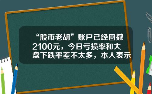 “股市老胡”账户已经回撤2100元，今日亏损率和大盘下跌率差不太多，本人表示满意，期待下一次大盘翻红时能赚得更多……-今年股市亏了多少