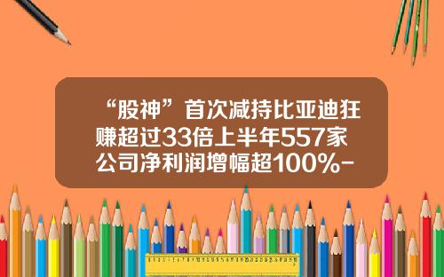 “股神”首次减持比亚迪狂赚超过33倍上半年557家公司净利润增幅超100%-股神公司股票最新资讯