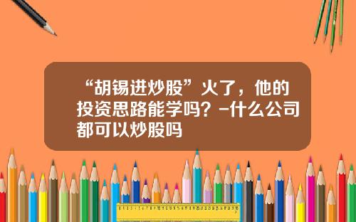 “胡锡进炒股”火了，他的投资思路能学吗？-什么公司都可以炒股吗