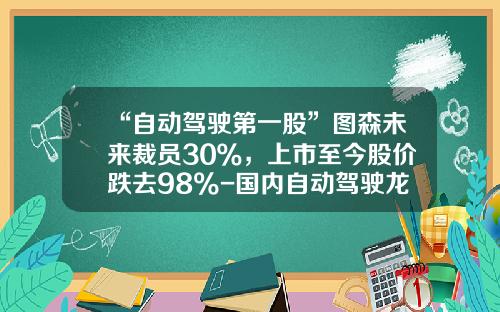 “自动驾驶第一股”图森未来裁员30％，上市至今股价跌去98%-国内自动驾驶龙头公司市值是多少