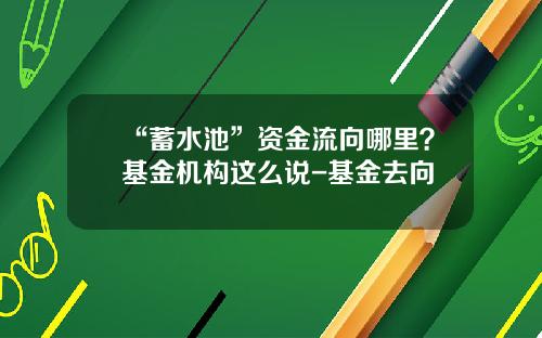 “蓄水池”资金流向哪里？基金机构这么说-基金去向