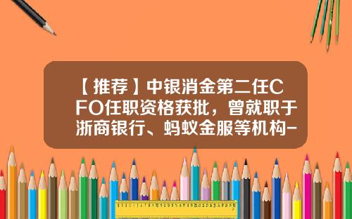 【推荐】中银消金第二任CFO任职资格获批，曾就职于浙商银行、蚂蚁金服等机构-湖南汇丰医药有限公司董事长
