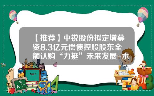 【推荐】中锐股份拟定增募资8.3亿元偿债控股股东全额认购“力挺”未来发展-水晶舍得多少钱