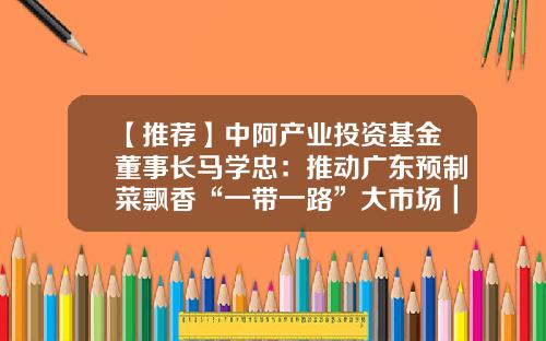 【推荐】中阿产业投资基金董事长马学忠：推动广东预制菜飘香“一带一路”大市场｜喊全球吃广东预制菜-中阿投资基金
