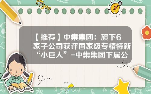 【推荐】中集集团：旗下6家子公司获评国家级专精特新“小巨人”-中集集团下属公司