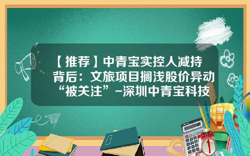 【推荐】中青宝实控人减持背后：文旅项目搁浅股价异动“被关注”-深圳中青宝科技有限公司