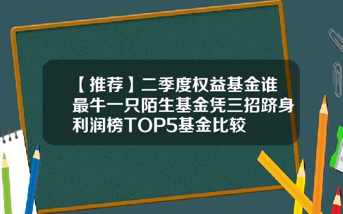 【推荐】二季度权益基金谁最牛一只陌生基金凭三招跻身利润榜TOP5基金比较