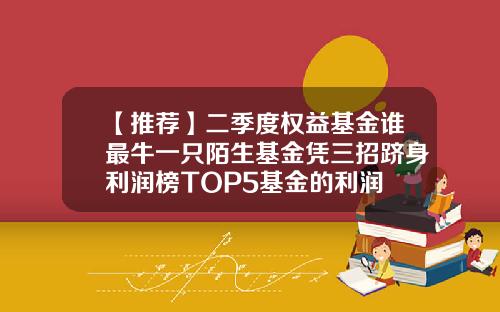【推荐】二季度权益基金谁最牛一只陌生基金凭三招跻身利润榜TOP5基金的利润