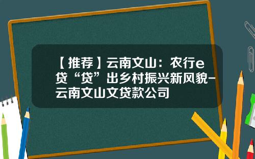 【推荐】云南文山：农行e贷“贷”出乡村振兴新风貌-云南文山文贷款公司