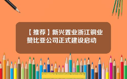 【推荐】新兴置业浙江铜业赞比亚公司正式建设启动
