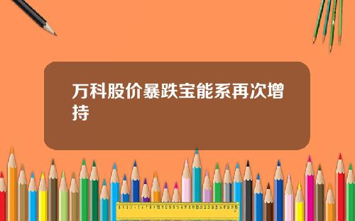 万科股价暴跌宝能系再次增持
