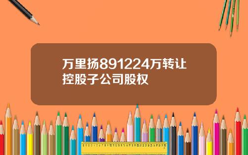 万里扬891224万转让控股子公司股权