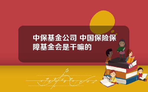 中保基金公司 中国保险保障基金会是干嘛的