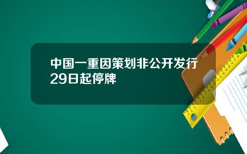 中国一重因策划非公开发行29日起停牌