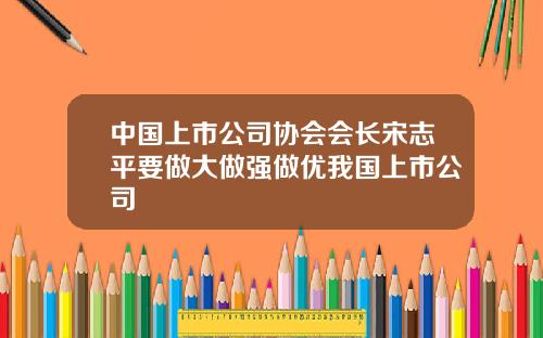 中国上市公司协会会长宋志平要做大做强做优我国上市公司