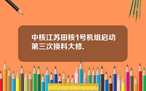 中核江苏田核1号机组启动第三次换料大修.