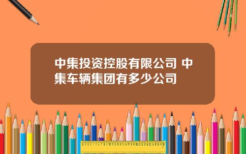 中集投资控股有限公司 中集车辆集团有多少公司