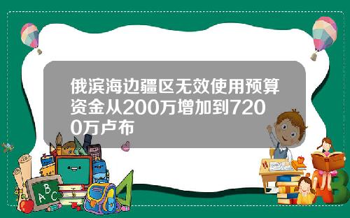 俄滨海边疆区无效使用预算资金从200万增加到7200万卢布