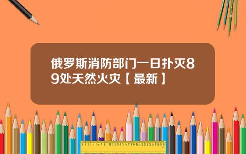 俄罗斯消防部门一日扑灭89处天然火灾【最新】