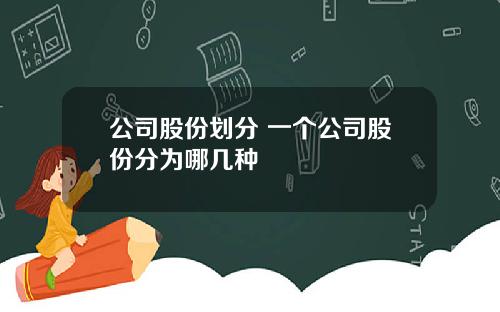 公司股份划分 一个公司股份分为哪几种
