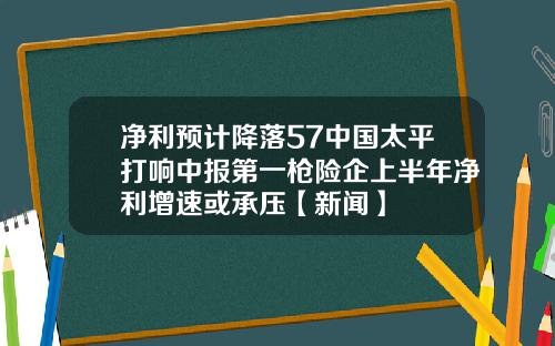 净利预计降落57中国太平打响中报第一枪险企上半年净利增速或承压【新闻】