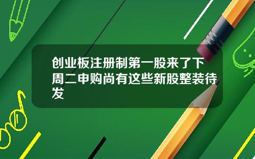 创业板注册制第一股来了下周二申购尚有这些新股整装待发