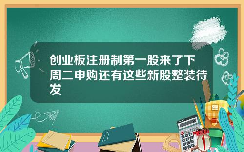 创业板注册制第一股来了下周二申购还有这些新股整装待发