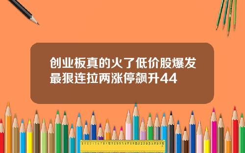 创业板真的火了低价股爆发最狠连拉两涨停飙升44