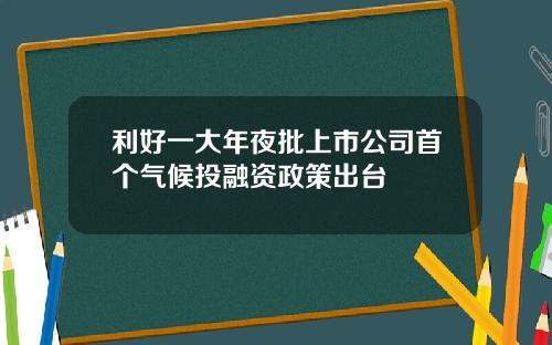 利好一大年夜批上市公司首个气候投融资政策出台