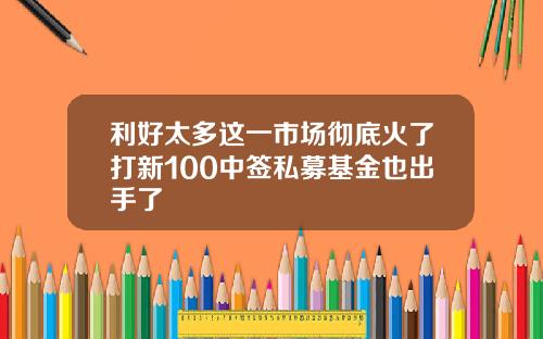 利好太多这一市场彻底火了打新100中签私募基金也出手了
