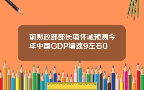 前财政部部长项怀诚预测今年中国GDP增速9左右0