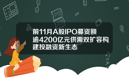 前11月A股IPO募资额逾4200亿元供需双扩容构建投融资新生态