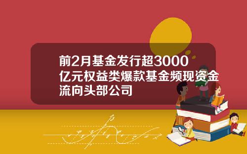前2月基金发行超3000亿元权益类爆款基金频现资金流向头部公司