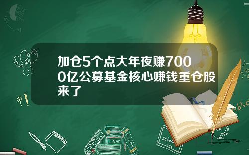 加仓5个点大年夜赚7000亿公募基金核心赚钱重仓股来了