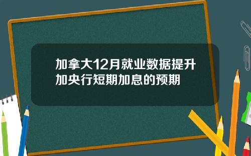 加拿大12月就业数据提升加央行短期加息的预期