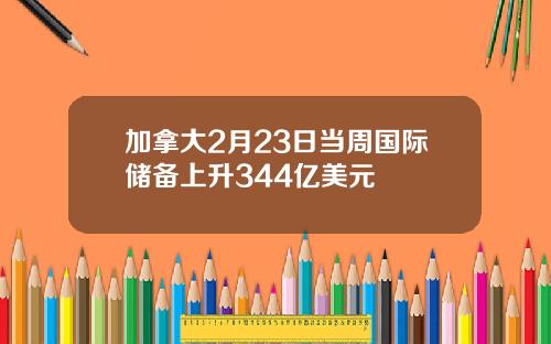 加拿大2月23日当周国际储备上升344亿美元