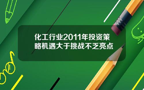 化工行业2011年投资策略机遇大于挑战不乏亮点