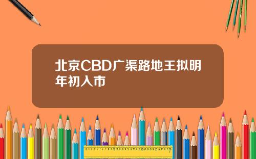 北京CBD广渠路地王拟明年初入市