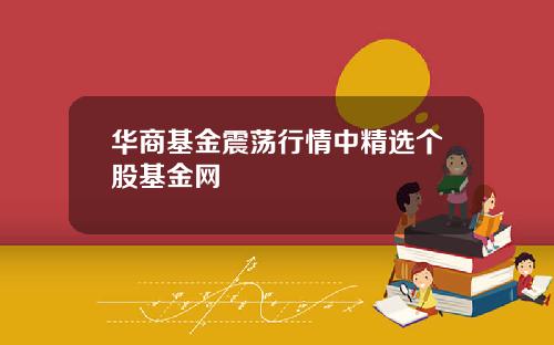 华商基金震荡行情中精选个股基金网