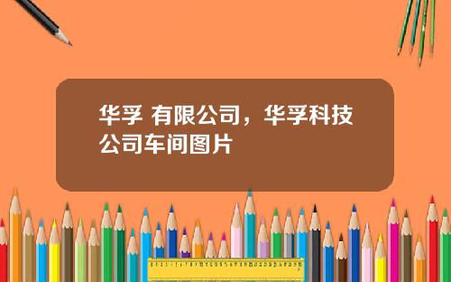 华孚 有限公司，华孚科技公司车间图片