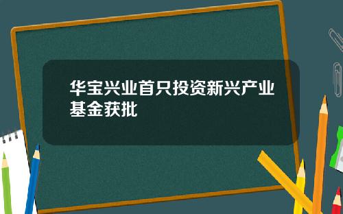 华宝兴业首只投资新兴产业基金获批