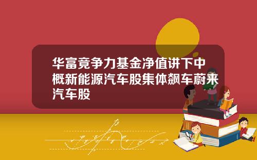 华富竟争力基金净值讲下中概新能源汽车股集体飙车蔚来汽车股
