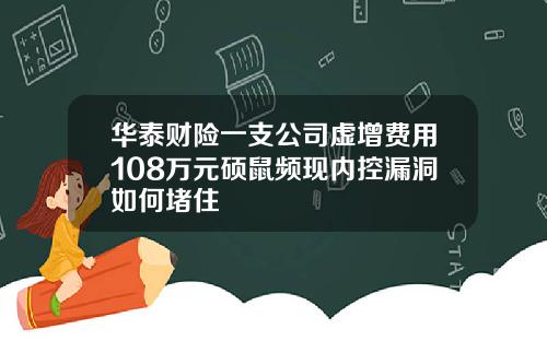华泰财险一支公司虚增费用108万元硕鼠频现内控漏洞如何堵住