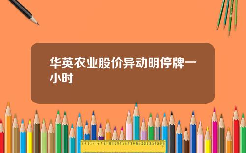 华英农业股价异动明停牌一小时