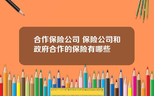 合作保险公司 保险公司和政府合作的保险有哪些
