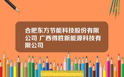 合肥东方节能科技股份有限公司 广西得胜新能源科技有限公司