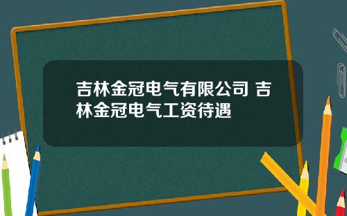 吉林金冠电气有限公司 吉林金冠电气工资待遇
