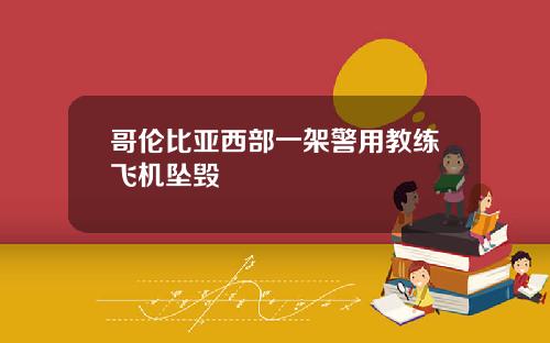 哥伦比亚西部一架警用教练飞机坠毁