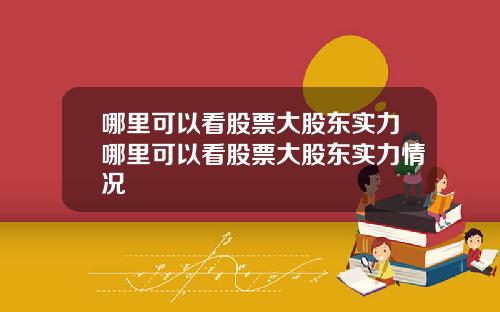 哪里可以看股票大股东实力哪里可以看股票大股东实力情况